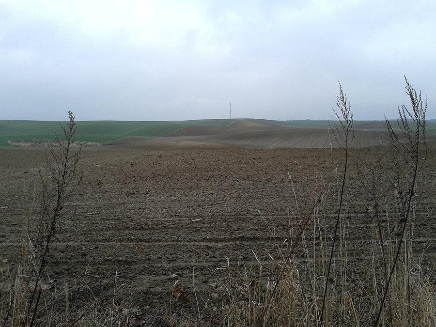 Jeśli wkoło komina ... to ten właśnie mam na myśli