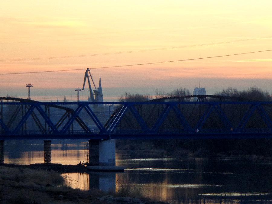 Żurawie nad Odrą