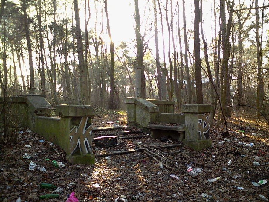 Zaniedbany park przy ul. J.Słowackiego w Konstancinie-Jeziornie
