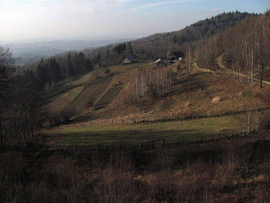 Brzanka z wieży widokowej