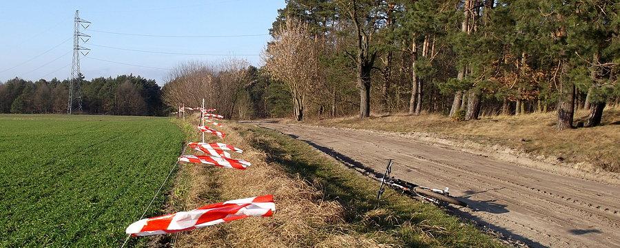 Dobijając do Puszczy Zielonki trochę wiało z boku