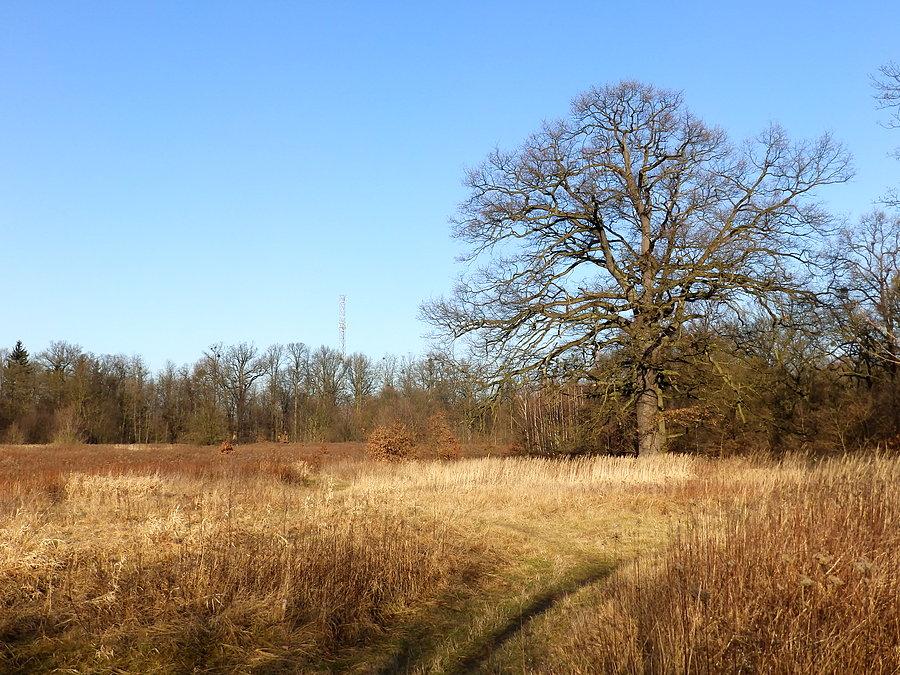 Nad Bystrzycą