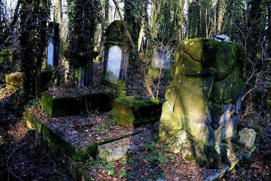 Częstochowski Kirkut III