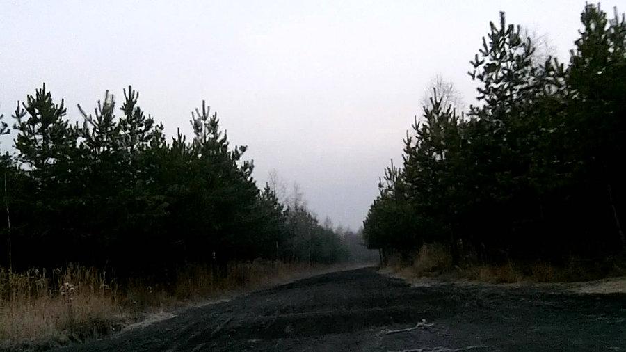 Stara hałda w Makoszowach - niebieski szlak