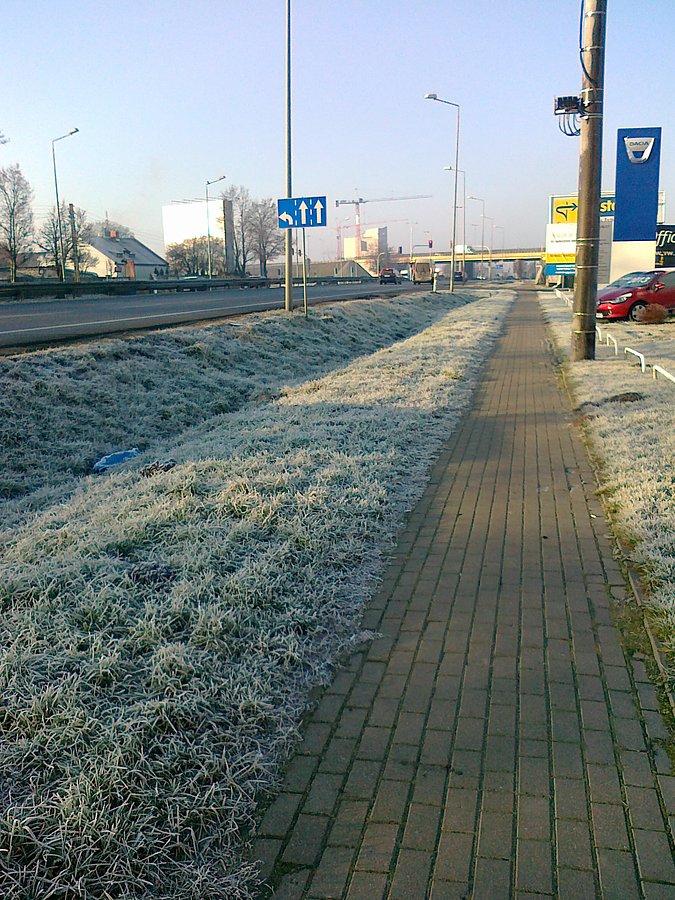 Troszkę dziś przymroziło