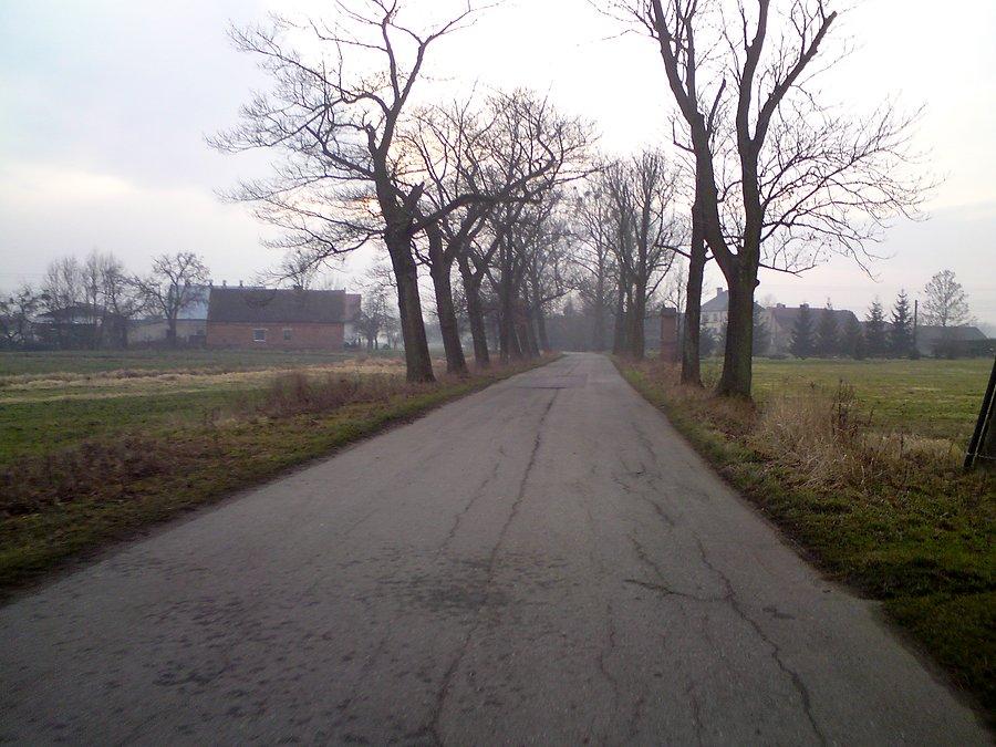 Stare Siołkowice - Błonie