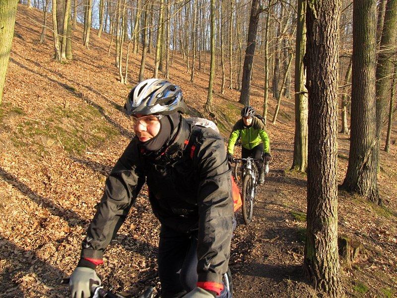 Puszcza Zielonka - jadąc zielonym szlakiem