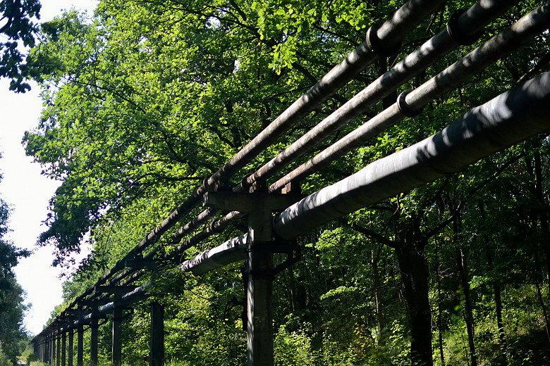 Zgierz "Boruta"