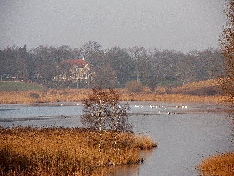 Fragment Jez. Rybno Małe, a w oddali dworek w Rybieńcu