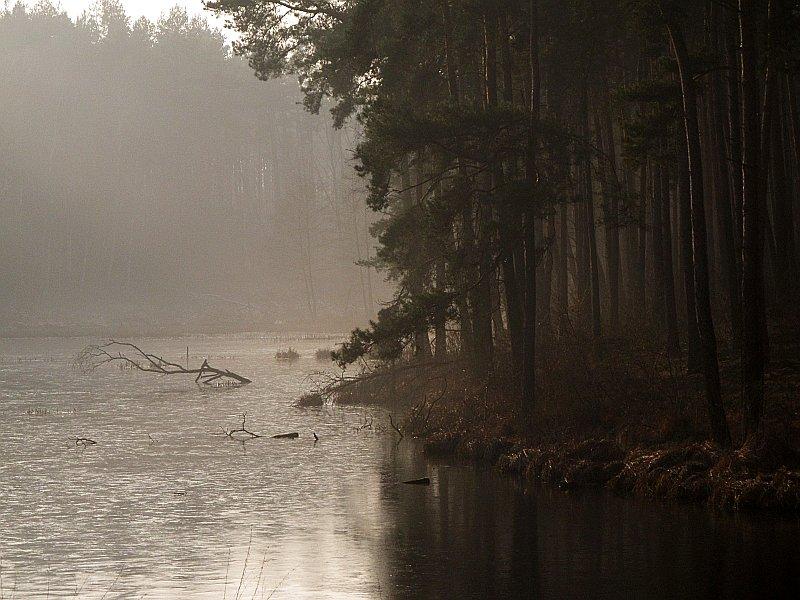 Staw skąpany we mgle w Ignacewie