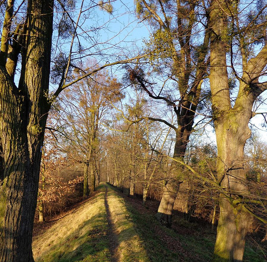 Wał na marszowicach