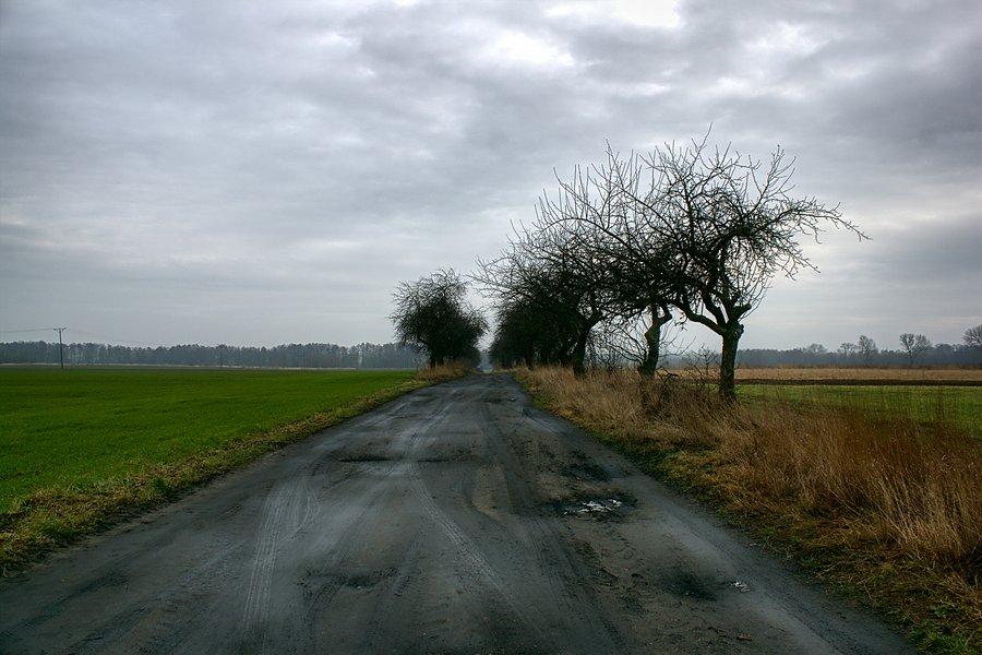 Droga z Lubowa do Klępina