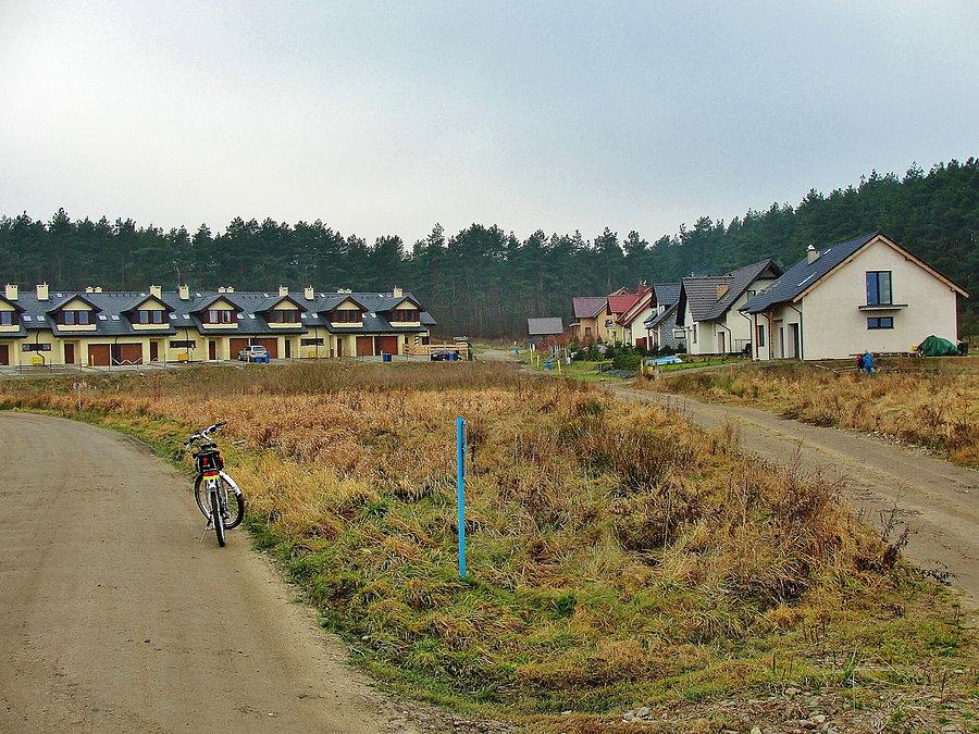 Na trasie wycieczki, Dojazd do lasu