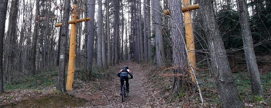 Droga Kalwaryjska na Górzec (445 m)
