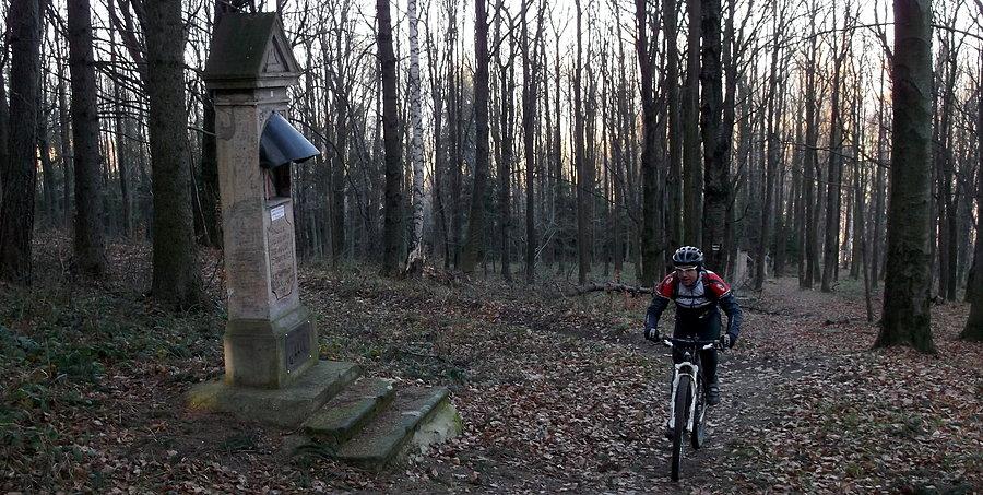 Droga Kalwaryjska na Górzec (445 m)
