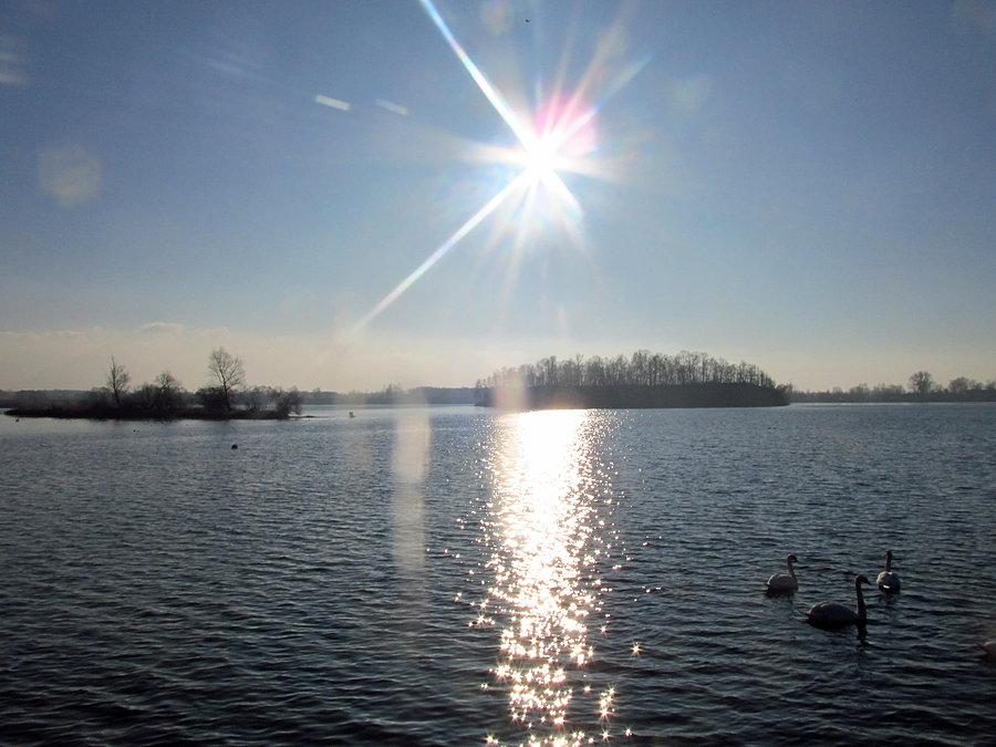 Dzierżno małe