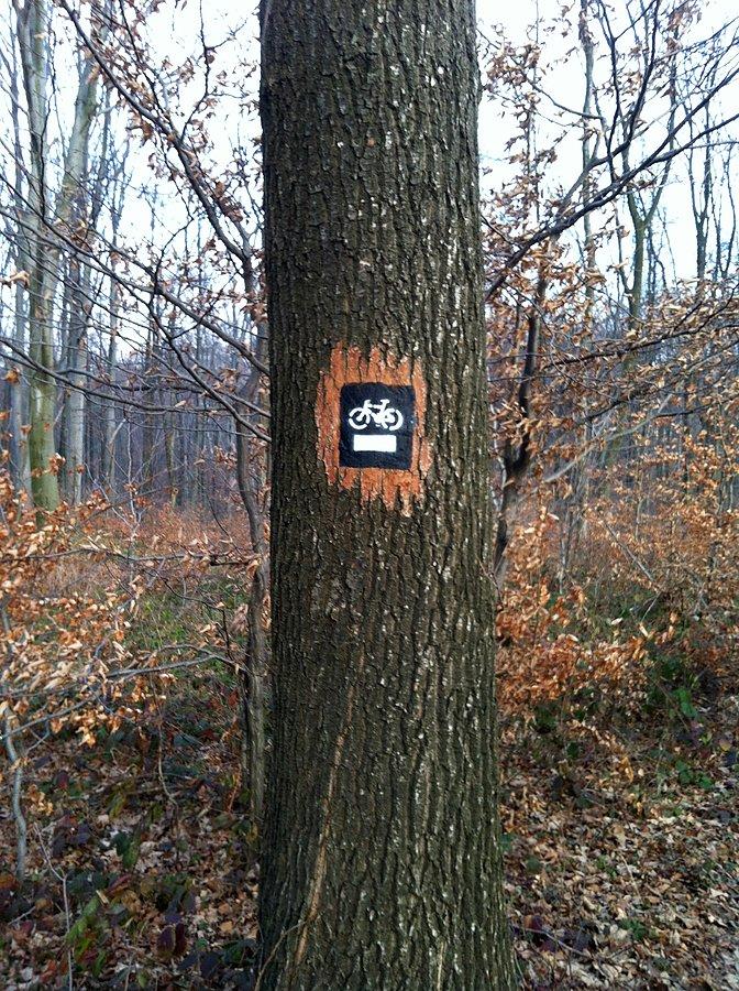 Kolejny szlak na Słocinie