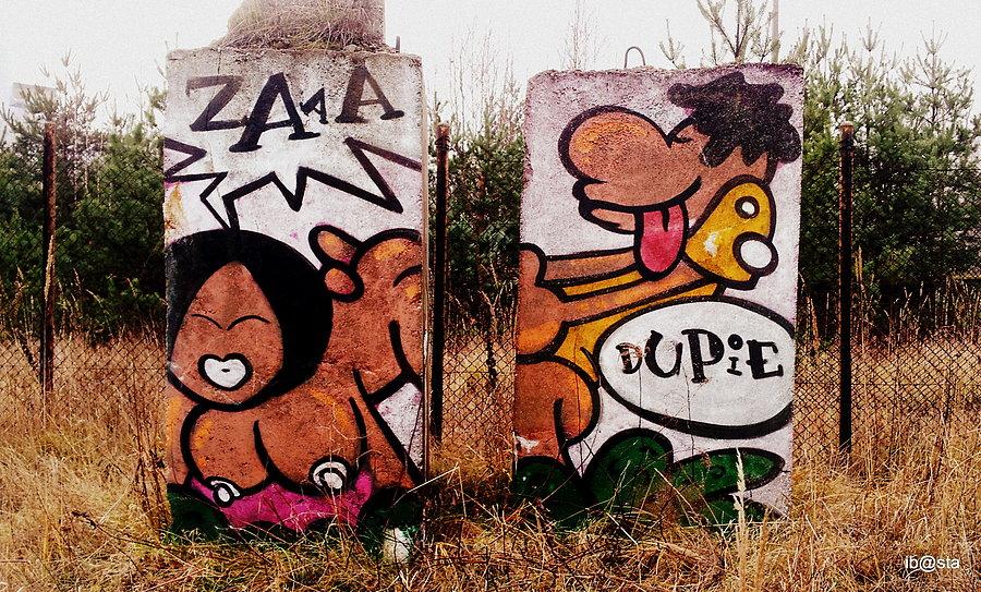 Szwedzki na zadupiu ;)