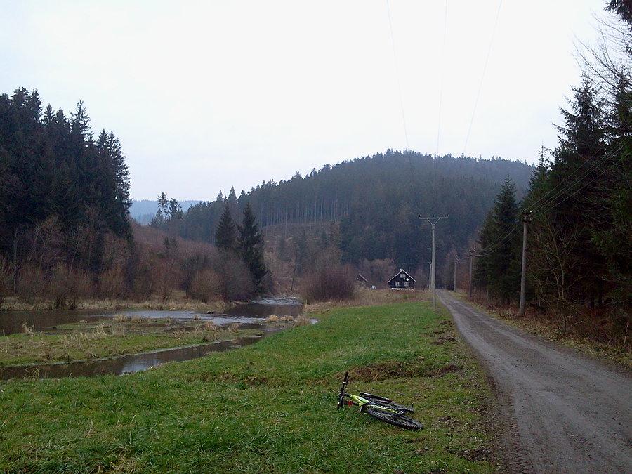 Bukowiec Olza