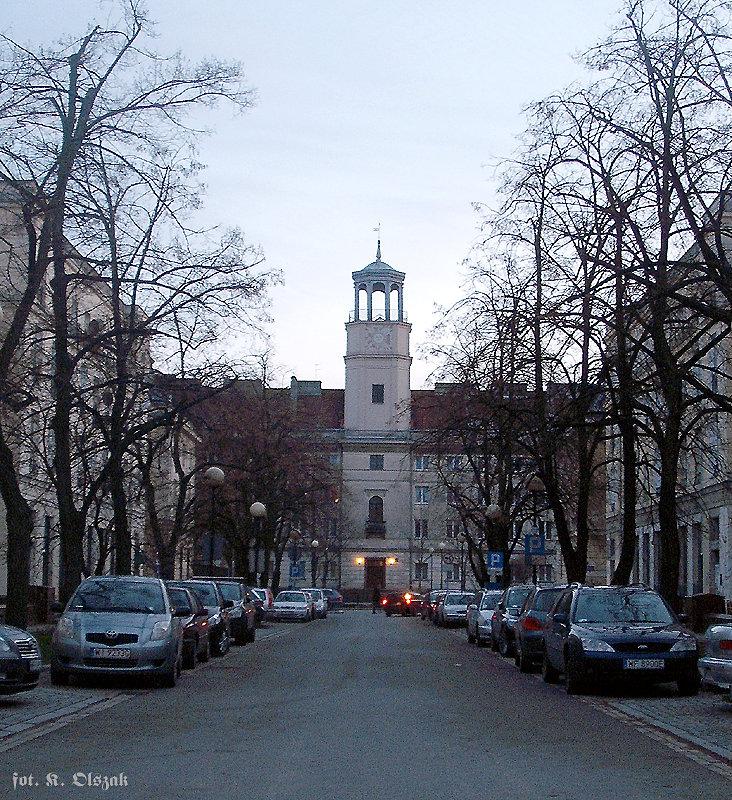 Pałac... misia z małym rozumkiem