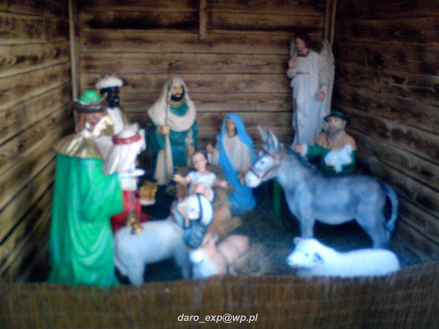 04-01-2014. Szopa Betlejemska z Rodziną Świętą i ze zwierzętami, stojąca przy Kościele Parafialnym Św. Aniołów Stróżów w Cedrach Wielkich