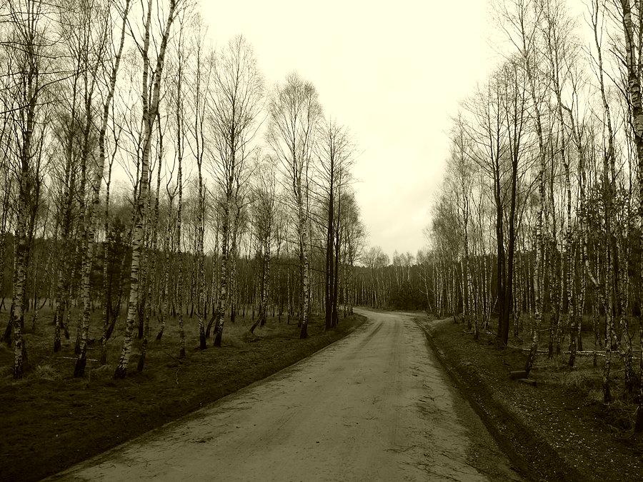 Gruntowny odcinek Leszyce- Solec Kuj