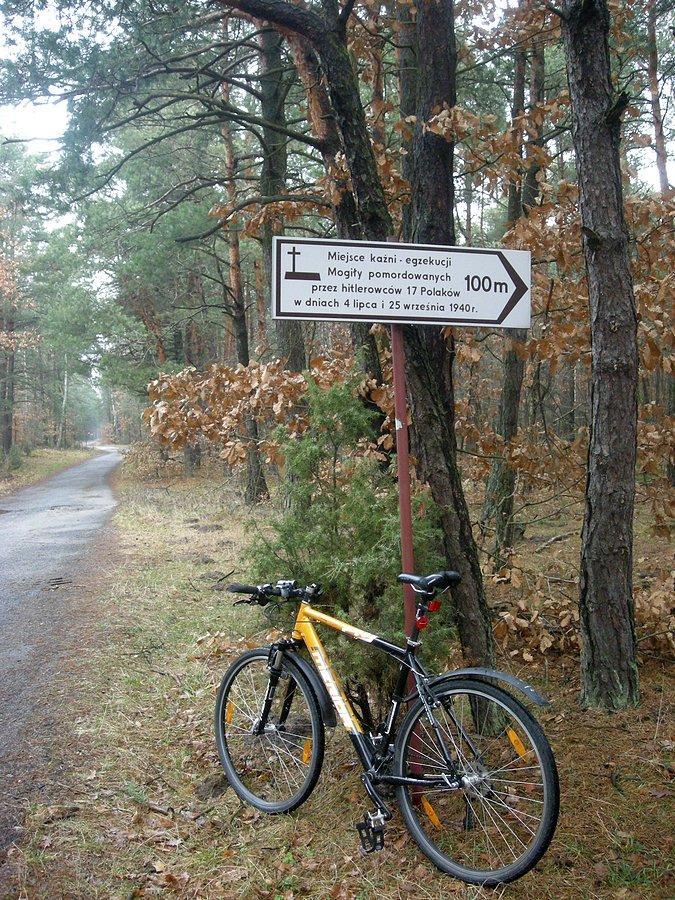 Las pod Apolonką - miejsce egzekucji 4 lipca i 25 września 1940 r