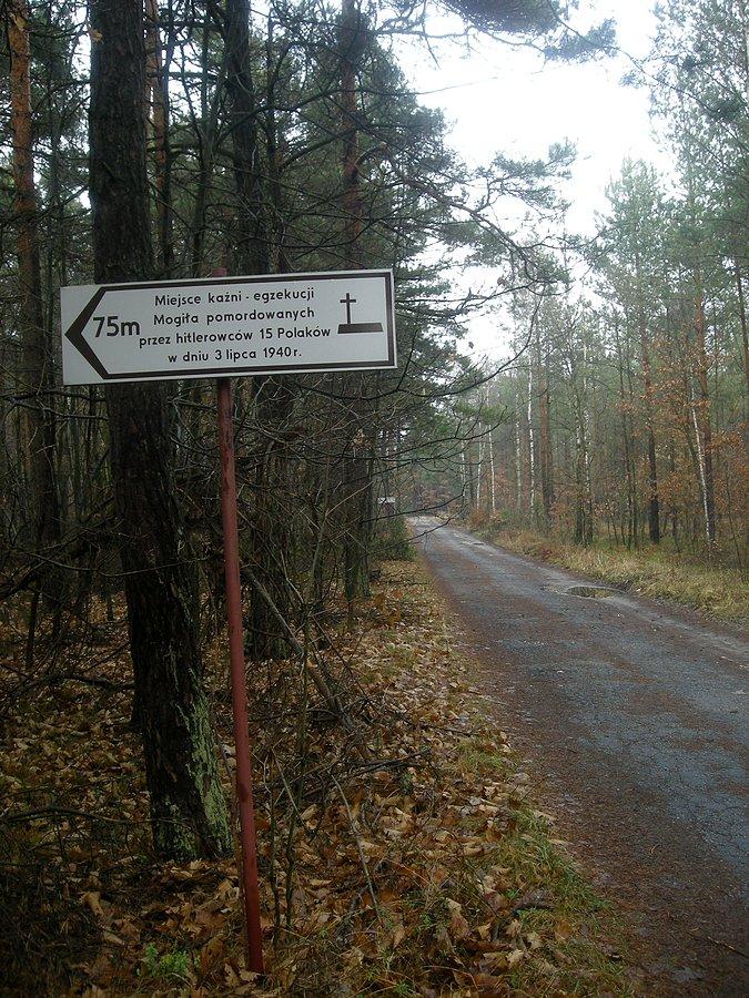 Las pod Apolonką - miejsce egzekucji 3 lipca 1940 r