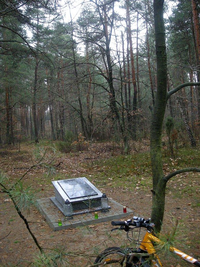Las pod Apolonką - miejsce egzekucji 4 lipca i 25 września 1940 r