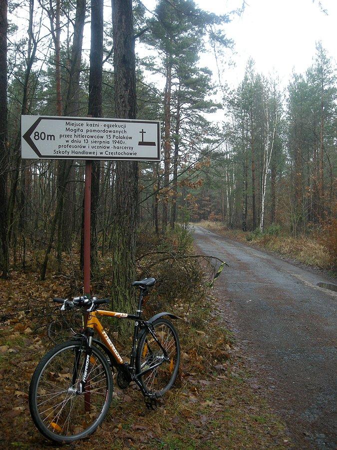 Las pod Apolonką - miejsce straceń