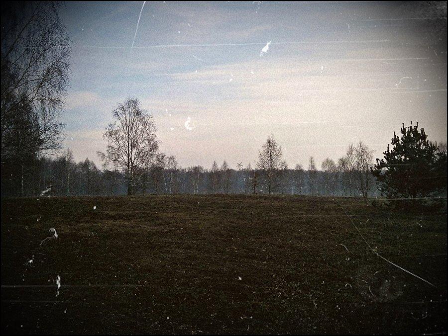 Polana