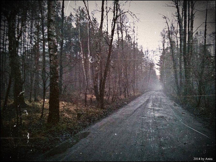 Puszcza Kampinoska
