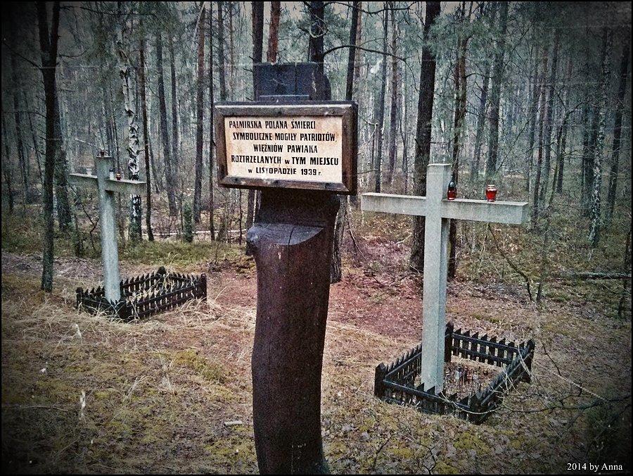 Puszcza Kampinoska