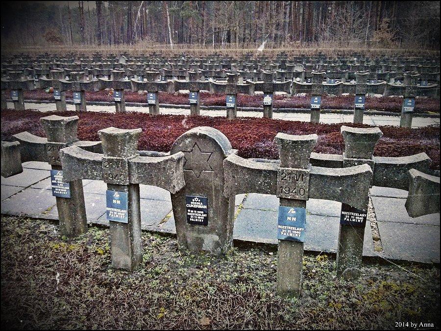 Puszcza Kampinoska