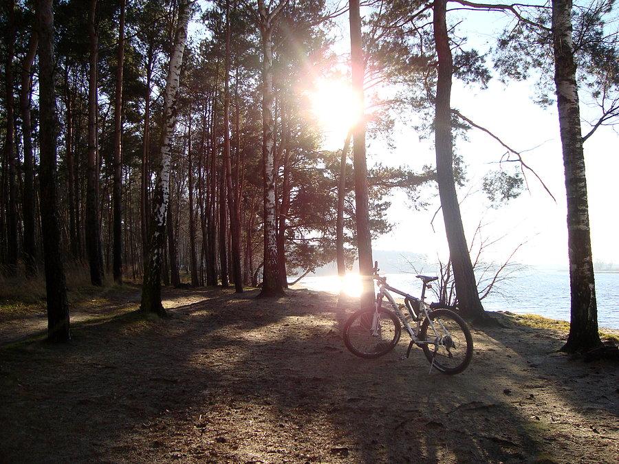 Na plaży w Gołuchowie