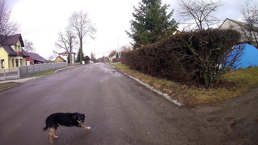 To może być początek pięknej przyjaźni