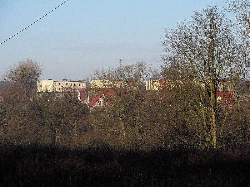 Wierzonka z oddali