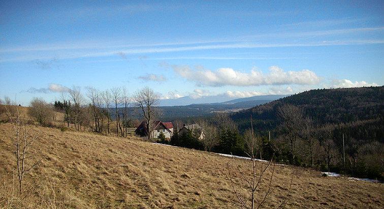 Zieleniec