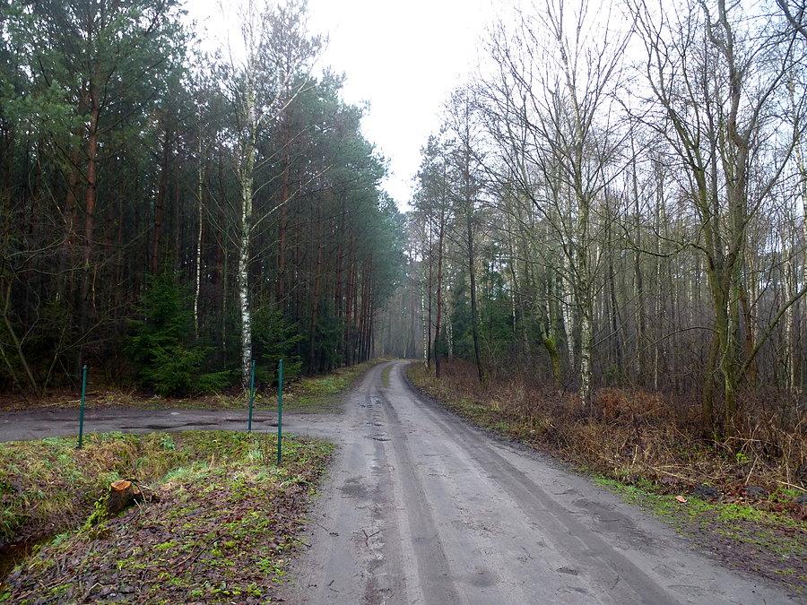 Odcinek Kaźmierzewo-Gorzeń