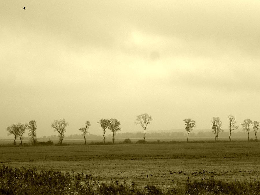 Pejzaż ślesiński