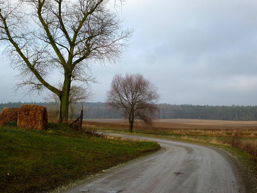 Odcinek Samsieczno-Drzewianowo