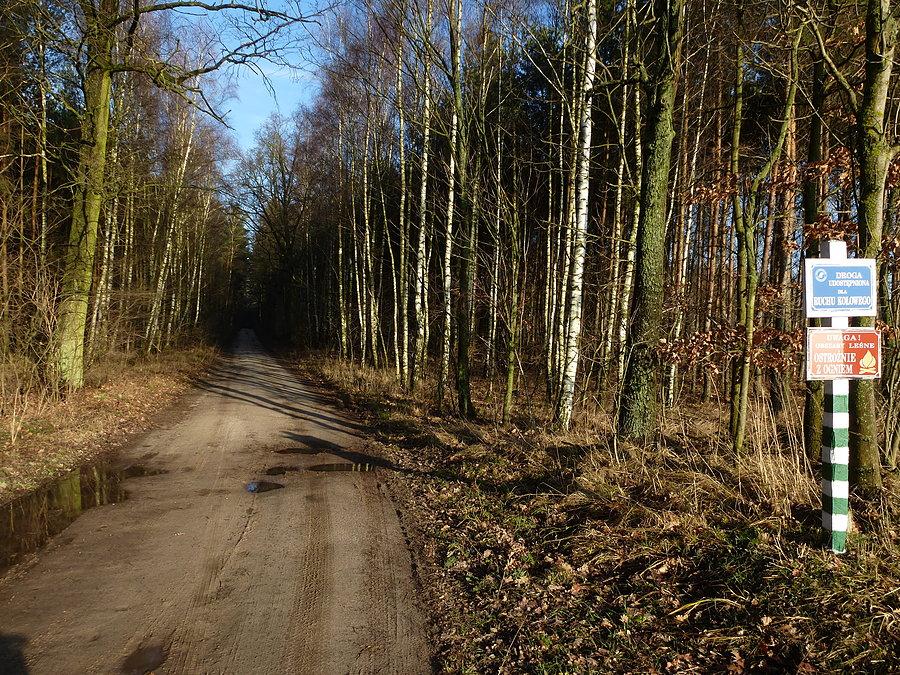 Odcinek Drzewianowo-Popielewo