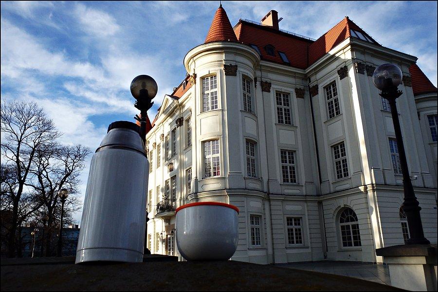 Zamek w Lesnicy
