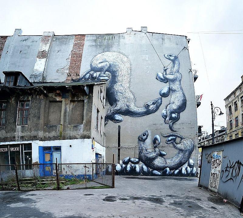 Ul. Nowomiejska 5, autor: Roa (Belgia)