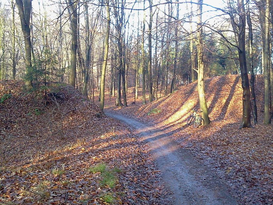 Grodzisko Gołęszyców, brama podgrodzia i wały