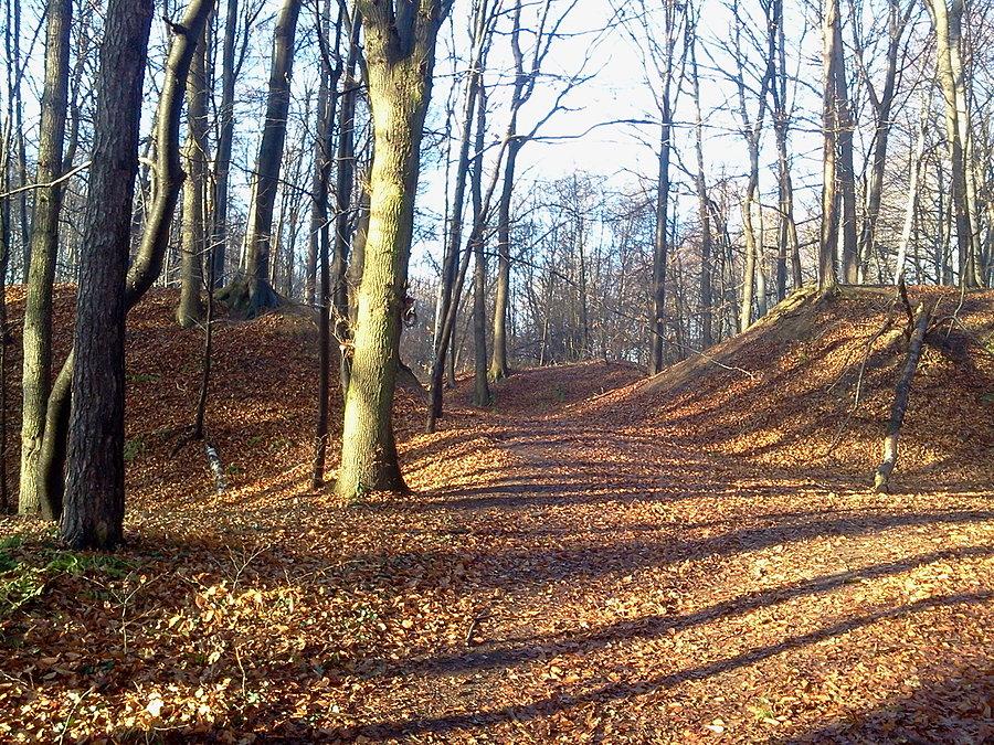 Grodzisko Gołęszyców, brama w wale otaczającym gród