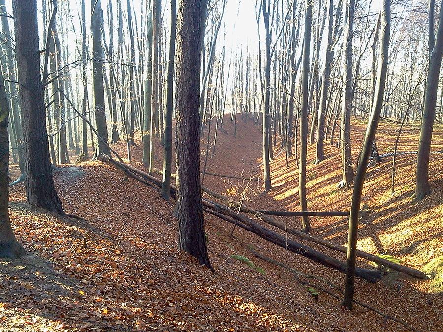 Grodzisko Gołęszyców, wał