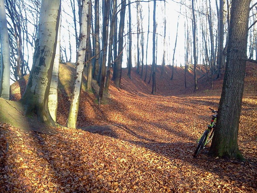 Grodzisko Gołęszyców, wał zachodni