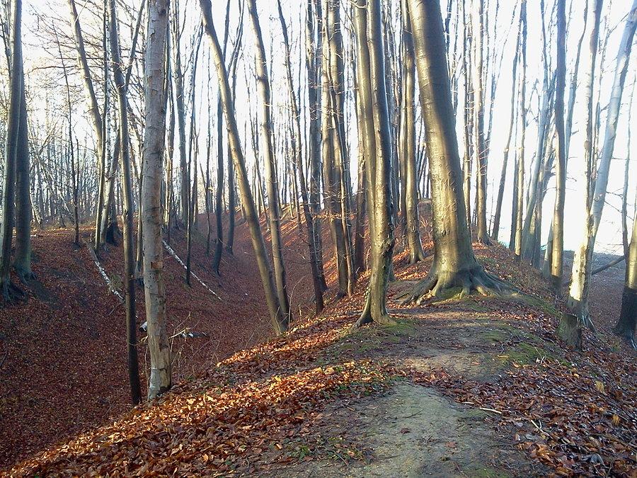Grodzisko Gołęszyców, wschodni wał