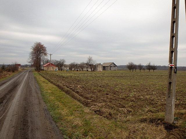 Szlak czerwony (dawny "Partyzancki") na wysokości wsi Michałowska Grobelka